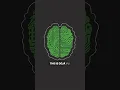 Download Lagu Why You Get Déjà Vu (Your Brain is Glitching!) 😵‍💫