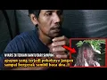 CAMPING HORROR KEDATANGAN TAMU MENGERIKAN KEMBALI TERJADI DI SAAT SOLO CAMPING 