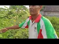Download Lagu budal ngaret nggolek pakan wedos