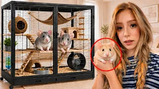 Большая Распаковка: Готовлю Домик для Мышат!