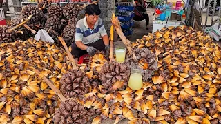Must Try! Exotic Fruit Paradise in Asian Street Markets