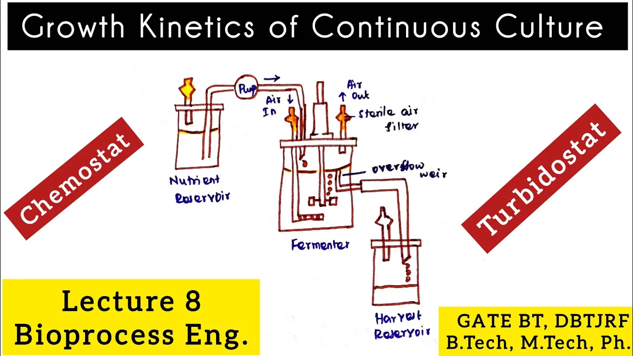 Growth Kinetics of Continuous Culture| Bioprocess Engineering| GATEBT@biotechnotebook