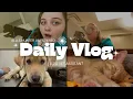 My Life As a Vet Assistant Long Days and Adorable Patients
