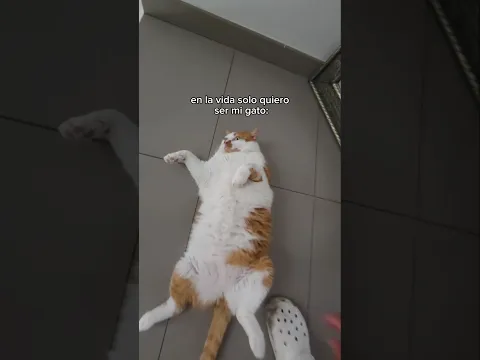 Creo Que Me Paso Dándole Comida