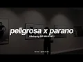 Lagu Peligrosa x Parano (Full Version) || TikTok Songs