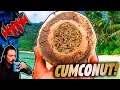 The Reddit Coconut Story - Tales From the Internet