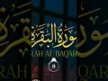 Download Lagu surah al baqarah rashid mishary al afaasy #shorts #quranrecitation #qurantilawat