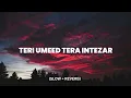 Lagu Teri Umeed Tera Intezar | lofi Song | Slow \u0026 Reverb | Abhishek Raina