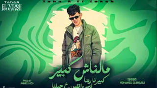 كليب محمدالبصيلي مالناش كبير كبيرنا ربنا لسه واقفين علي حيلنا شبح المجال الزوكش توزيع احمد لوزه 