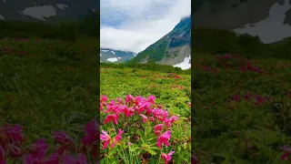 Demis Roussos Goodbye My Love Goodbye 