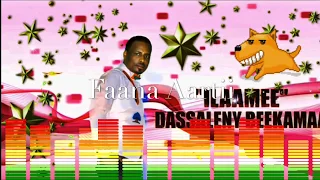 Dassaleny Beekamaa ILAAMEE New Oromoo Music 2019 