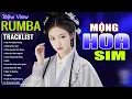 Download Lagu MỘNG HOA SIM , THƯƠNG LY BIỆT - LK Nhạc Trẻ Hót TikTok 2025 - ALBUM RUMBA XUẤT SẮC NHẤT