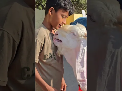 Khuda Hafiz mere Yaara #shortvideo #shortsfeed #shortsviral #reels