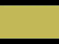 Vegas Gold Color Screen