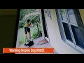 Shocking Canada Post Employee Caught on Camera