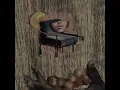 Skin the Fool