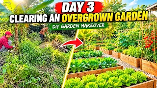Day 3: Clearing an Overgrown Garden | DIY Garden Makeover