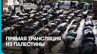 ПРЯМАЯ ТРАНСЛЯЦИЯ ИЗ ПАЛЕСТИНЫ