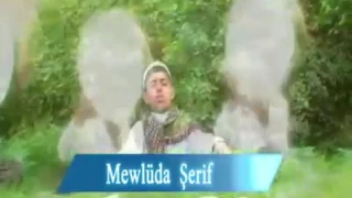 المولد النبوي الشريف باللغة الكردية 