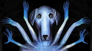 I Found A Dog Worse Than Pepper