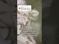 How dry cleaners turn yellow to white