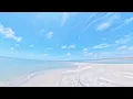 Escape to the Beach with Me Catch the Moment
