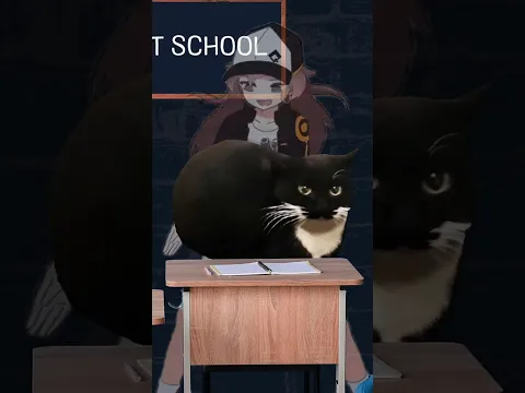 BANANA CAT SCHOOL - WEATHER CLASS 🌦️
