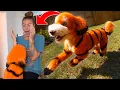 Lagu SURPRISING MY GIRLFRIEND WITH TIGER DOG 😭🐅 