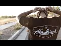 Hardknocks | Lost Boy Honda Shadow VT600