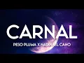 Carnal - Peso Pluma Ft. Natanael Cano (Letra/English Lyrics)