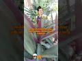 Download Lagu Akan selalu ada ulama yg bukan dari arab Gus Baha