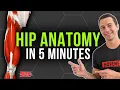 5 Minute Hip Anatomy Review Quads Hamstrings Glutes Adductors Abductors Hip Flexors and More