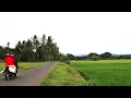 Download Lagu Ranam Minang Maimbau Pulang | Bansi Minang Instrumental