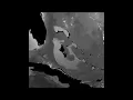 ROFFS Bahamas Circulation Zoom - Jan 30