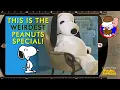DOES THIS EVEN COUNT AS A PEANUTS SPECIAL A Peanuts In A Nutshell special report