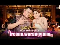 Download Lagu TRESNO WARANGGONO - SAHLI HIMAWAN feat. SHINTA GISUL | Opo tresno iki pancen ra kudu nduweni