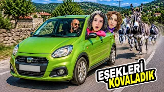 ESMANUR KÖYDE EŞEĞE BİNMEYE ÇALIŞTI ! BABASI EŞEĞİ KOVALADI!! 