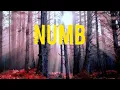 Download Lagu Linkin Park, Numb Cover for Cello \u0026 Piano