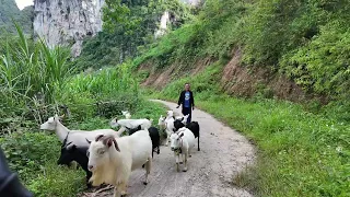 Mâm Xôi trên Cao Nguyên ĐÁ