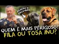 FIND OUT WHY TOSA INU AND FILA BRASILEIRO ARE BANNED IN SEVERAL COUNTRIES