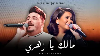 Cheb Mirou X Sherine Malek Ya Zahri كابر ڤليل من بكري طافية Rai Remix 2025 By AB Prod  Cheb Mirou X Sherine Malek Ya Zahri كابر ڤليل من بكري طافية Rai Remix 2025 By AB Prod