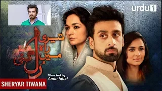 teri rah main rul gayi ve ost fariha pervez u0026 sheryar tiwana full song 