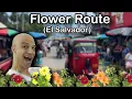 Flower route El Salvador what to do where to go