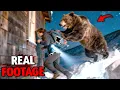 Grizzly Bear Attacks Mountain Cabin at 3 AM on November 1st 2025