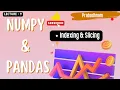 Numpy and Pandas Lec - 9 Indexing and Slicing Part-2 prabodhnam