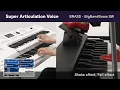 Download Lagu Electone ELA-1|Features:Super Articulation Voice