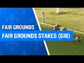 2026 175 000 Fair Grounds Stakes G3 at the Fair Grounds