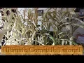 Ultimate Fake Cornstalk Tutorial