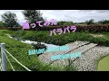 Download Lagu [踊ってみた][パラパラ] Bad Love - David Dima