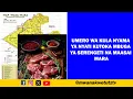Download Lagu UMERO WA KULA NYAMA YA NYATI KUTOKA MBUGA YA SERENGETI NA MAASAI MARA